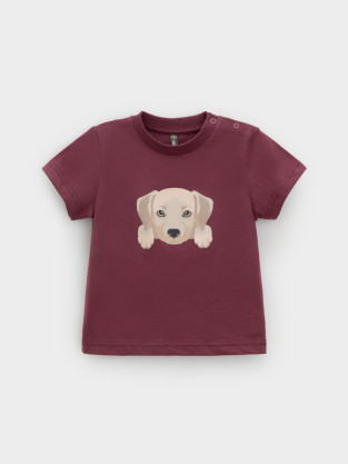 Футболка для мальчика, артикул: КР 302907, цвет: коричневый