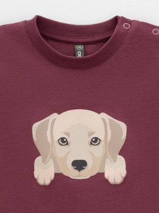 Футболка для мальчика, артикул: КР 302907, цвет: коричневый - 2 фото